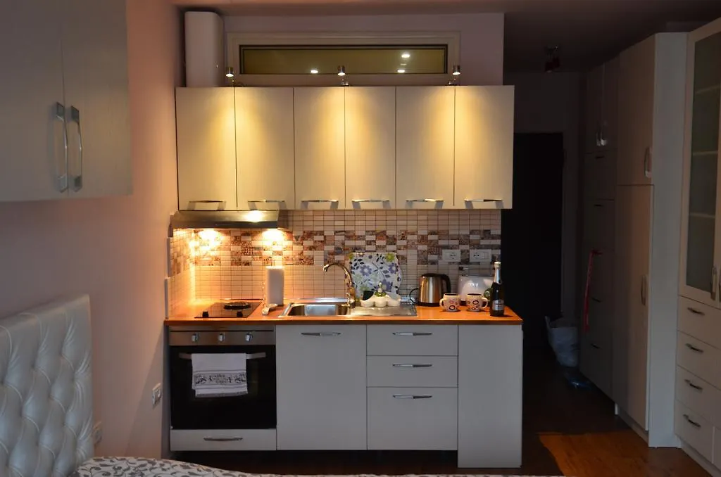 Studio Silva Tirana Apartamento